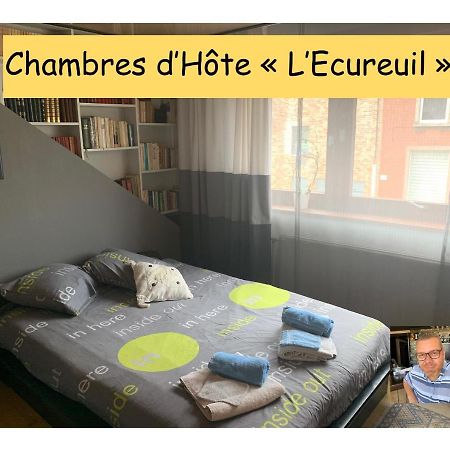 Chambres D'Hote "L Ecureuil" Proche De Mons, Pairi Daiza, A Cote De Spark'Oh Frameries Eksteriør bilde