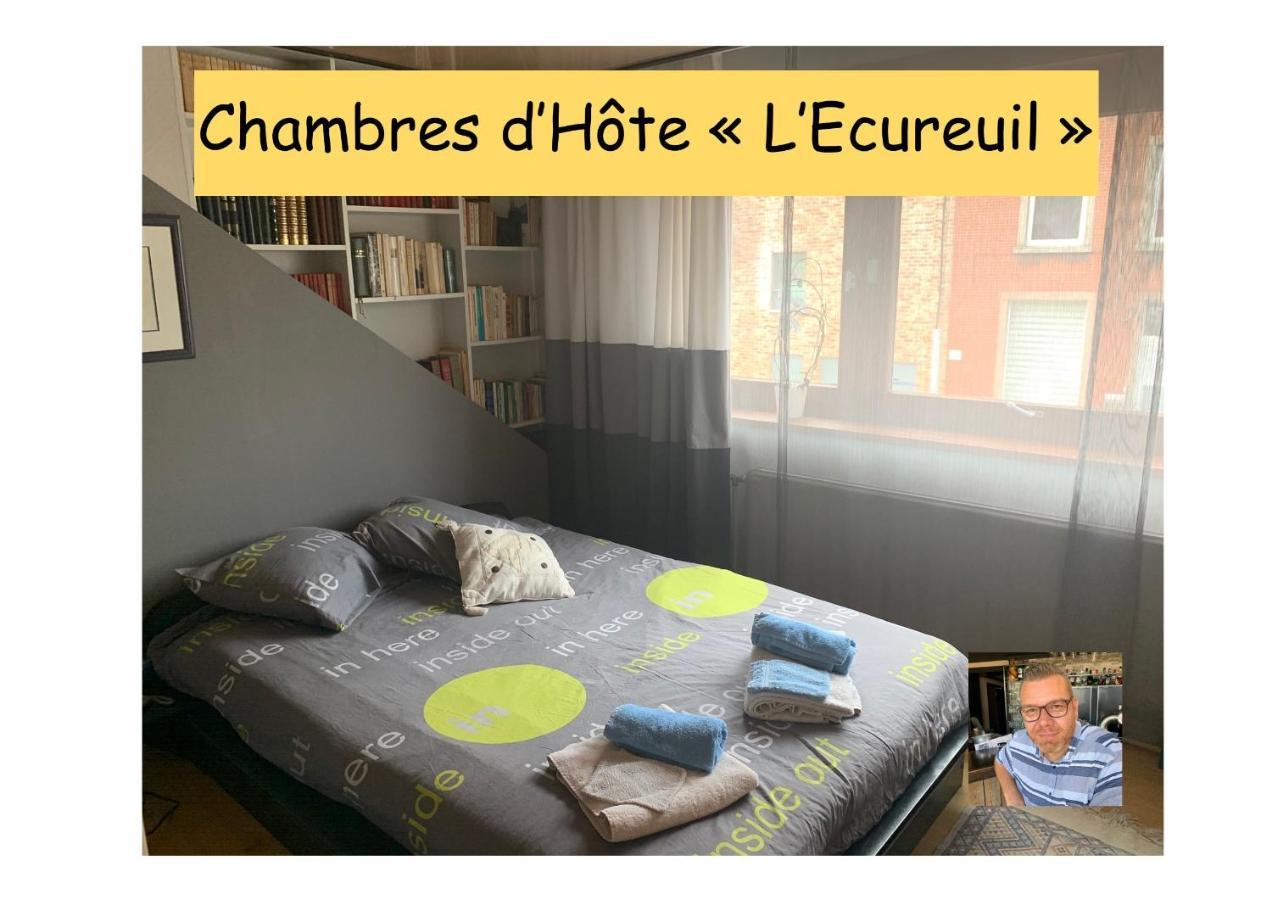 Chambres D'Hote "L Ecureuil" Proche De Mons, Pairi Daiza, A Cote De Spark'Oh Frameries Eksteriør bilde